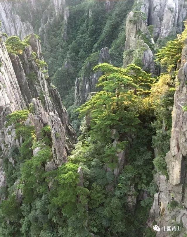 探探猫宝石岛2